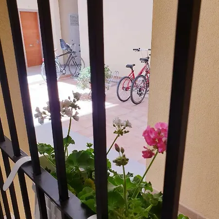 Appartement Nuevo Centro Historico *